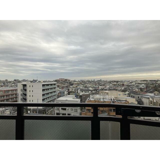 2026年3月撮影
