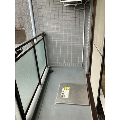2026年3月撮影