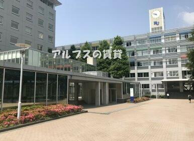 神奈川大学