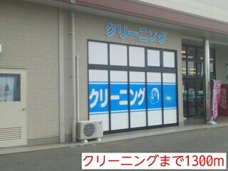 クリーニング