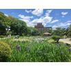 公園