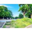 公園