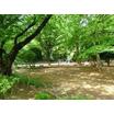 公園