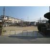 公園