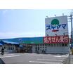 販売店