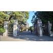 大学