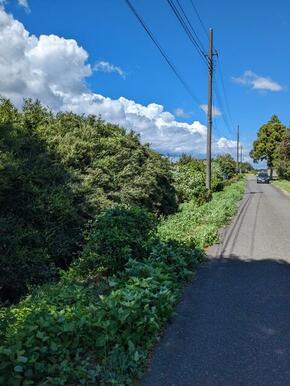 前面道路公道