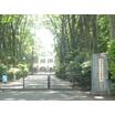 大学