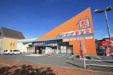 ドラッグ新生堂下曽根店