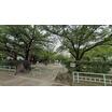 公園
