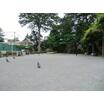 公園