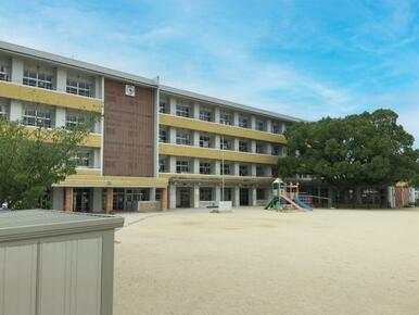 松岡小学校