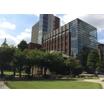 大学