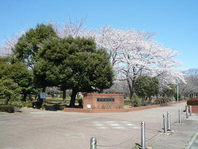 早稲田公園