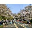公園