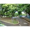 公園
