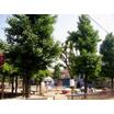 公園
