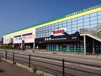 ヤマダ電機テックランドかほく店