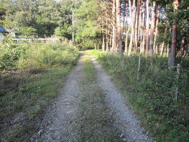 前面道路