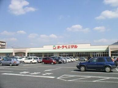 ヨークベニマル細谷店　1235ｍ/徒歩16分、車4分
