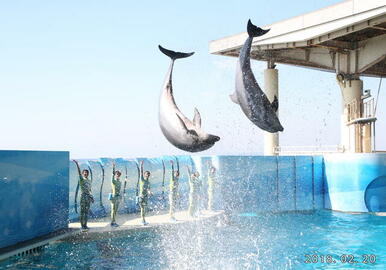 新江ノ島水族館