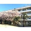 中学校