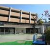 幼稚園、保育園