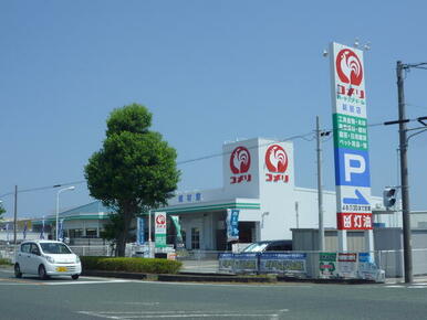 コメリハード＆グリーン新居店