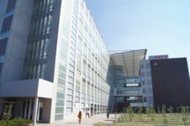私立日本大学商学部