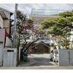 幼稚園、保育園
