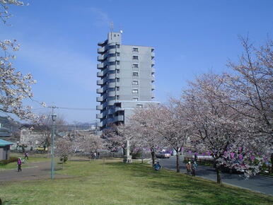 桜の季節に、足利公園より、パークサイドヒルズを撮影しました。