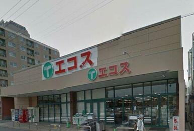 エコス鶴ヶ島上広谷店