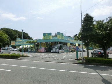 杏林堂薬局 富塚店