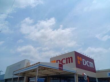 DCM様