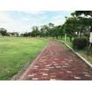 公園
