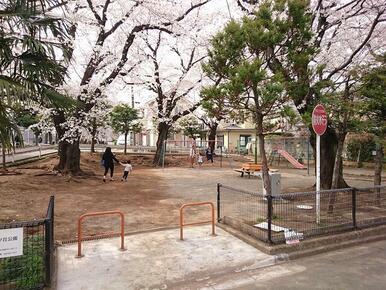 建物向かいの公園、春は桜が咲いてきれいです。