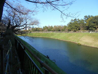 千鳥ヶ淵公園