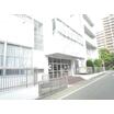 幼稚園、保育園