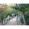 公園