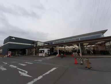 ＪＡ相模原ベジたべーな