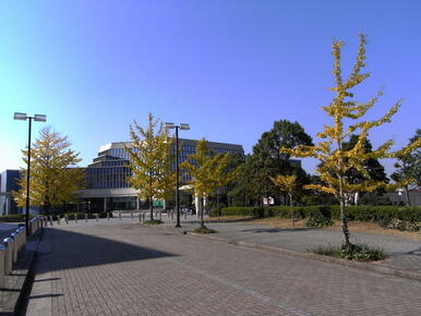 中央図書館