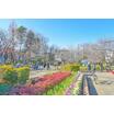 公園