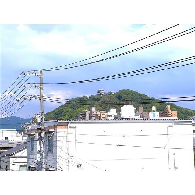 2026年6月撮影