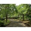 公園