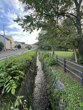 藤野公園道路沿い