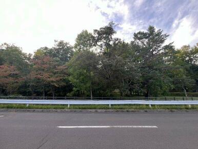 藤野公園の眺望