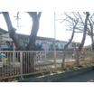 幼稚園、保育園