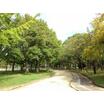 公園
