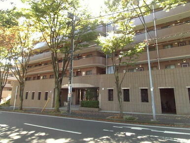 全52室の大型マンション