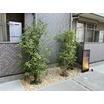 共有部分